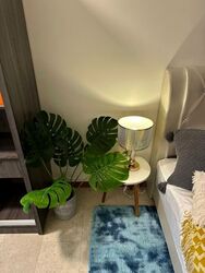 Sanctuary Green (D15), Condominium #530335561